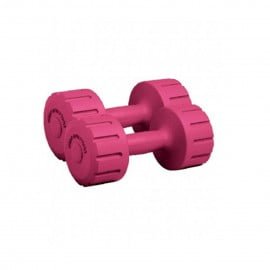LPS – Vinyl Dumbell(2kg/2pcs)  RLPM100B