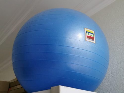 LPS -Gym Ball 26”