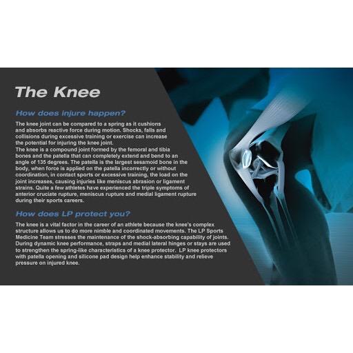 LP 647-Elastic Knee Support - Image 4