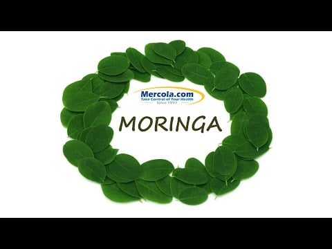 5 Benefits of Moringa