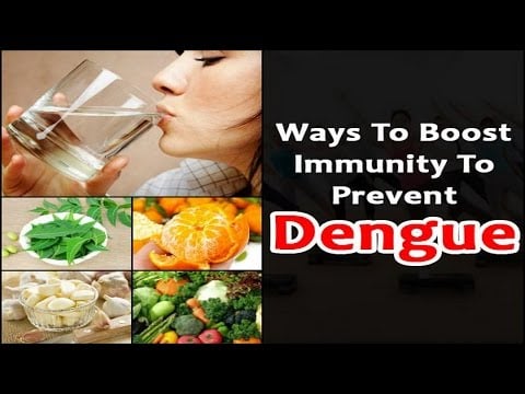 12 Ways To Boost Immunity To Prevent Dengue