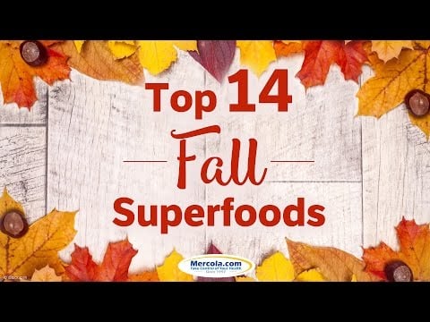 Top 14 Fall Superfoods You Can Try