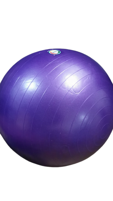 LPS -Gym Ball 30” LPS -Gym Ball 30”