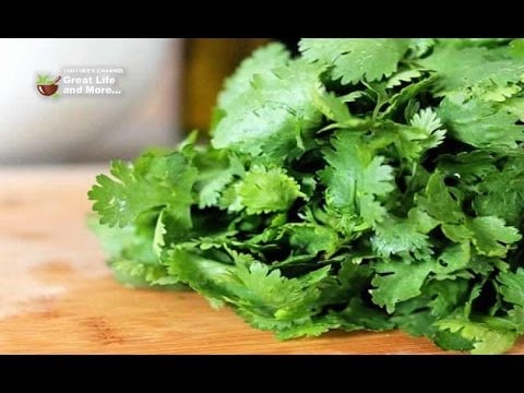 Cilantro can Remove 80% of Heavy Metals from the Body within 42 Days