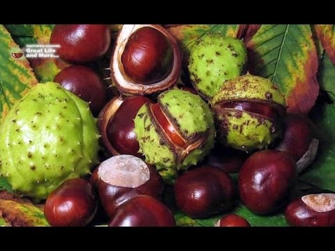 Recipe For Blood Cleansing And Elimination Of Thrombus