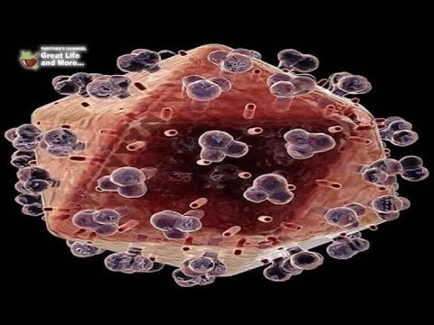 The Cancer Dies When You Eat These Foods – Time To Start Eating Them